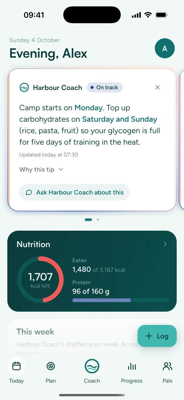 Example: Pal's Today screen styled for Harbour Health