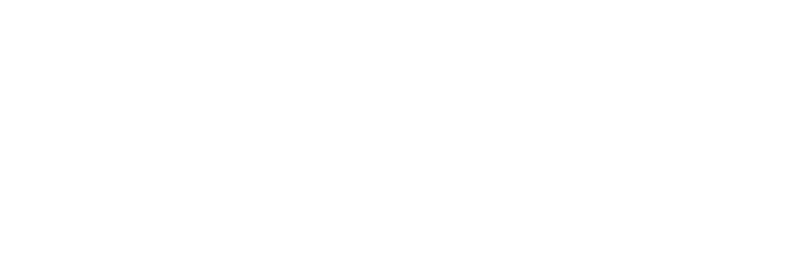 Pal logo in white, for dark backgrounds